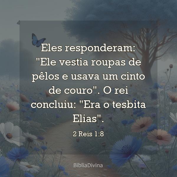 2 Reis 1:8