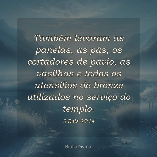 2 Reis 25:14