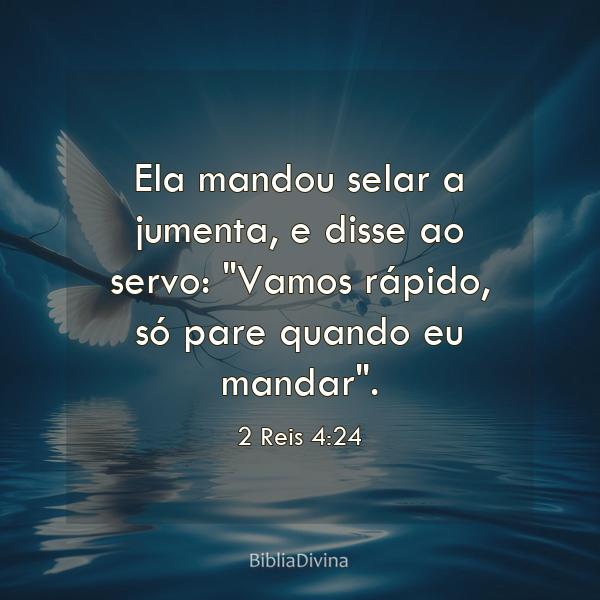 2 Reis 4:24