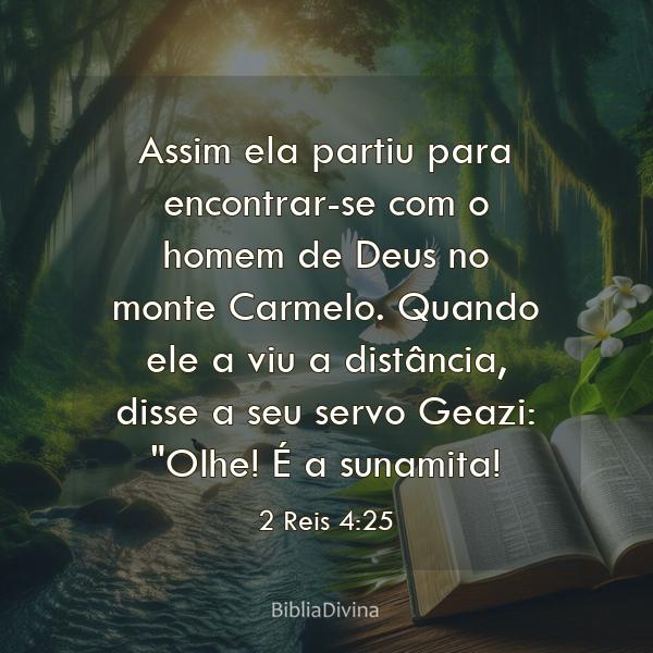 2 Reis 4:25