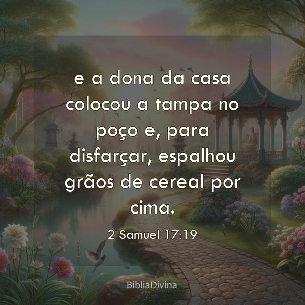 2 Samuel 17:19