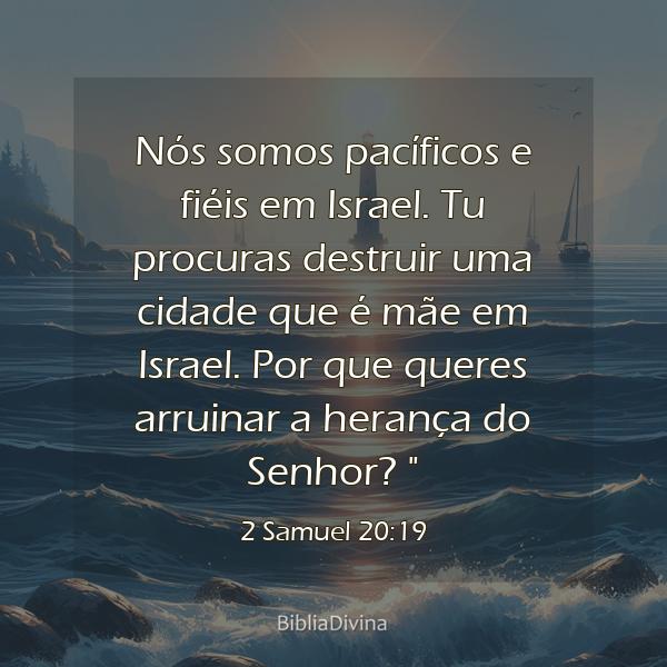 2 Samuel 20:19