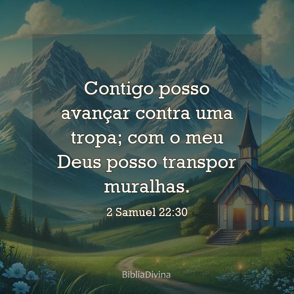 2 Samuel 22:30