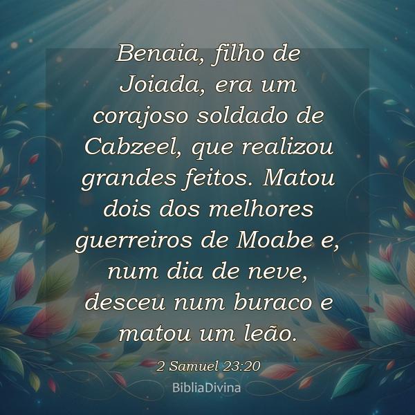 2 Samuel 23:20