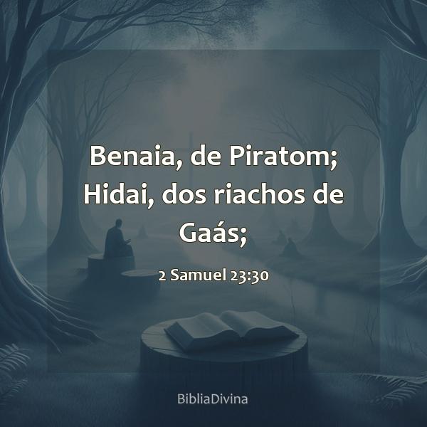 2 Samuel 23:30