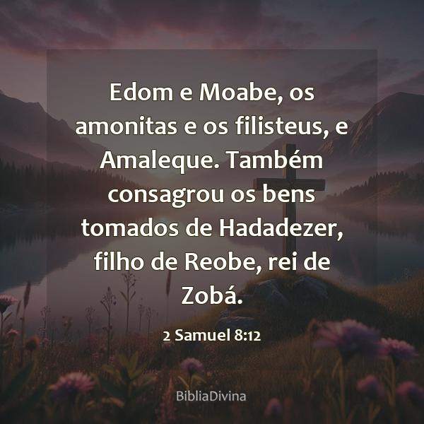 2 Samuel 8:12