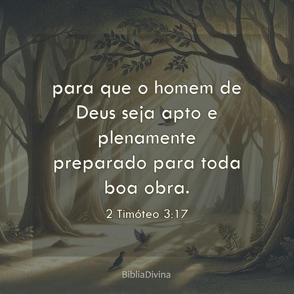 2 Timóteo 3:17