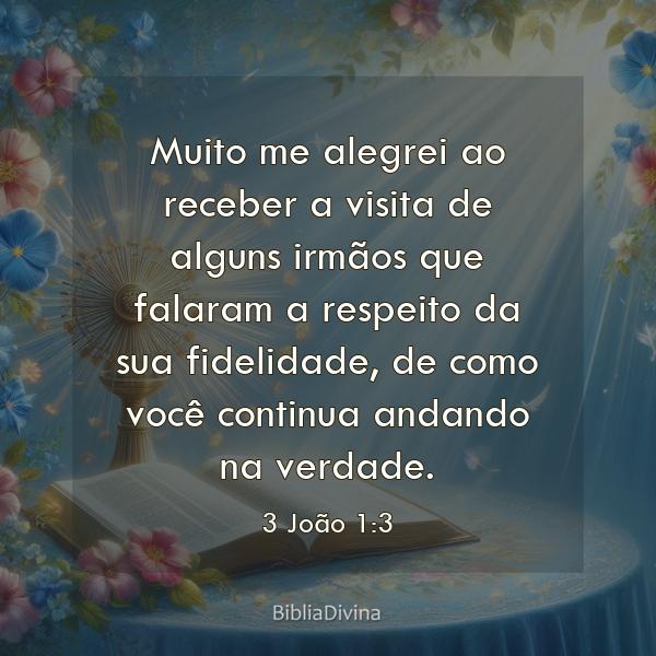 3 João 1:3