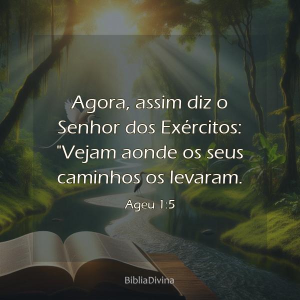 Ageu 1:5