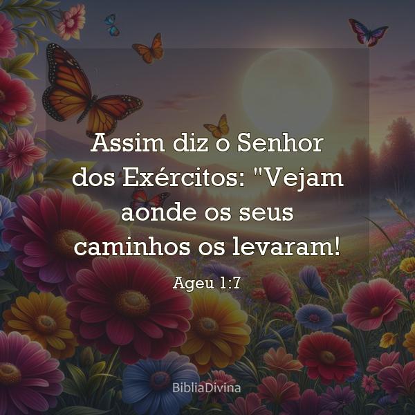 Ageu 1:7