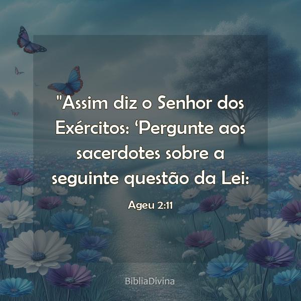 Ageu 2:11