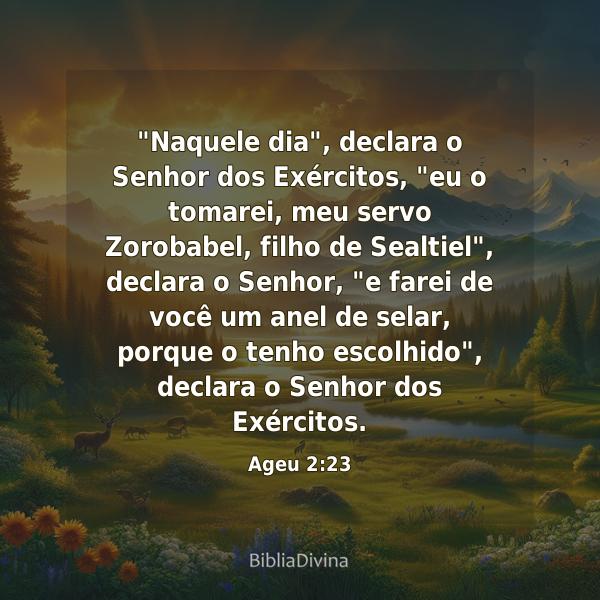 Ageu 2:23