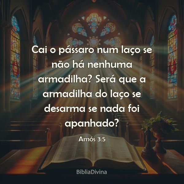 Amós 3:5