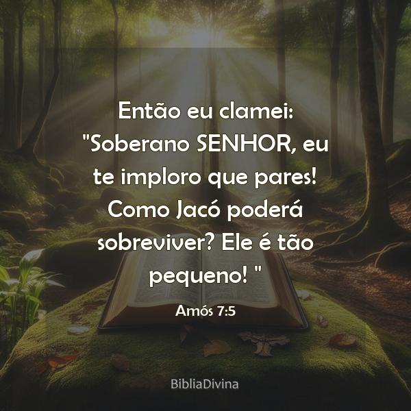 Amós 7:5