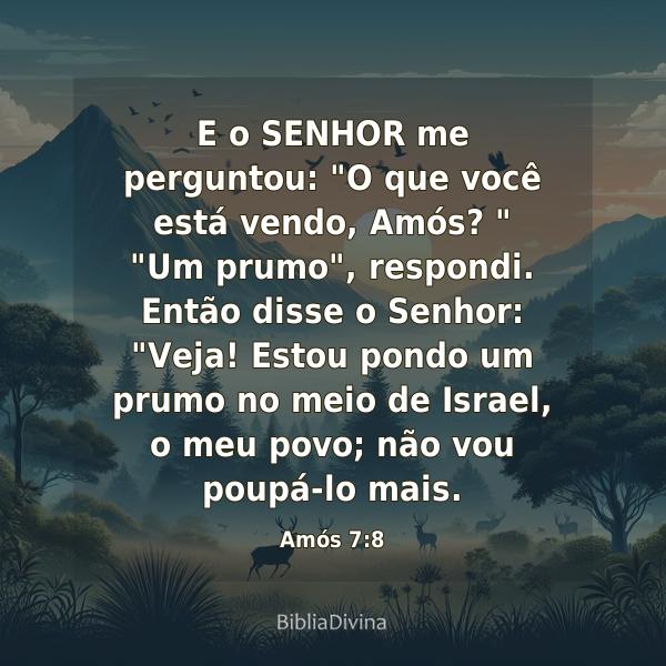 Amós 7:8