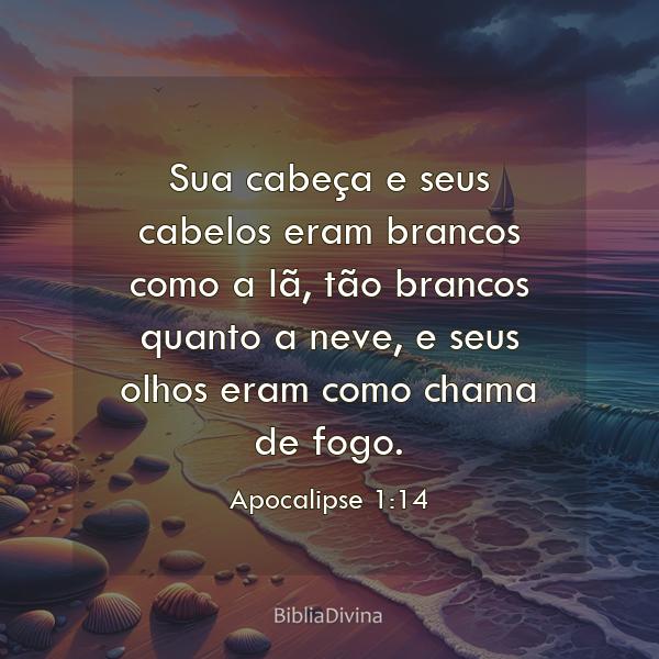 Apocalipse 1:14