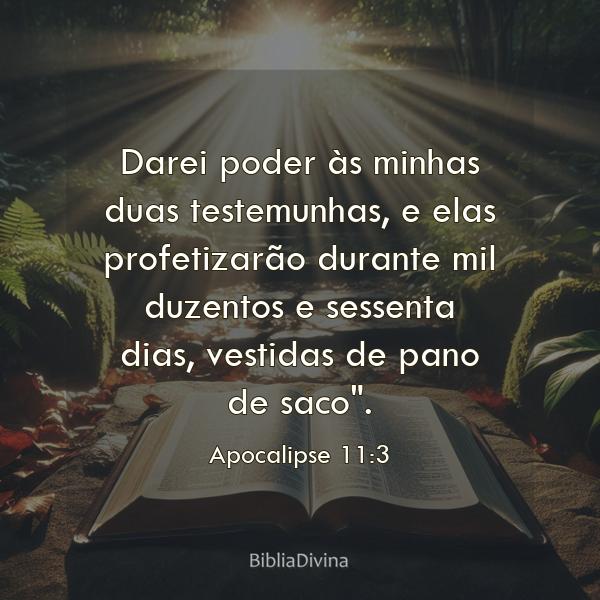 Apocalipse 11:3