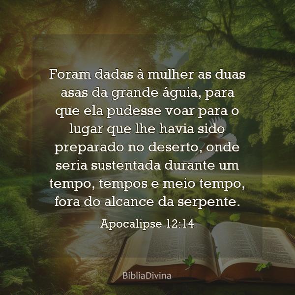 Apocalipse 12:14