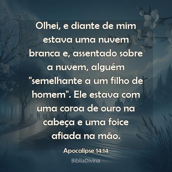 Apocalipse 14:14