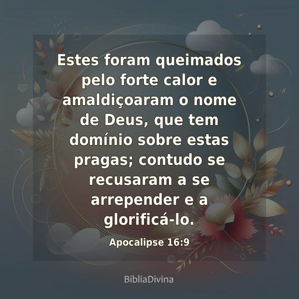 Apocalipse 16:9