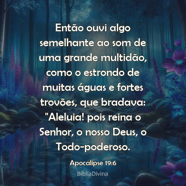 Apocalipse 19:6