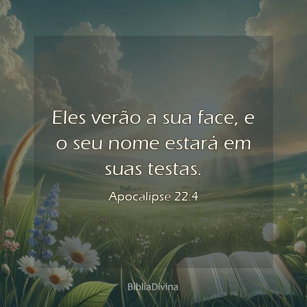 Apocalipse 22:4