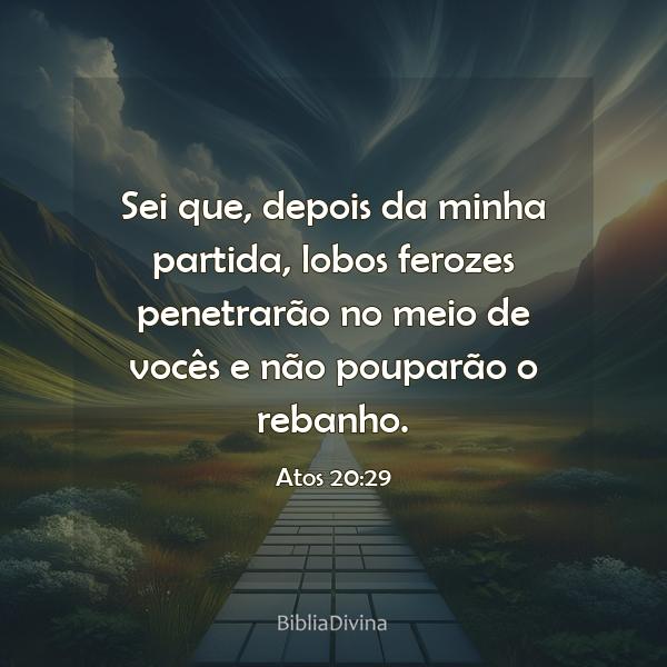 Atos 20:29