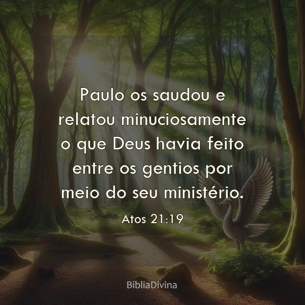 Atos 21:19