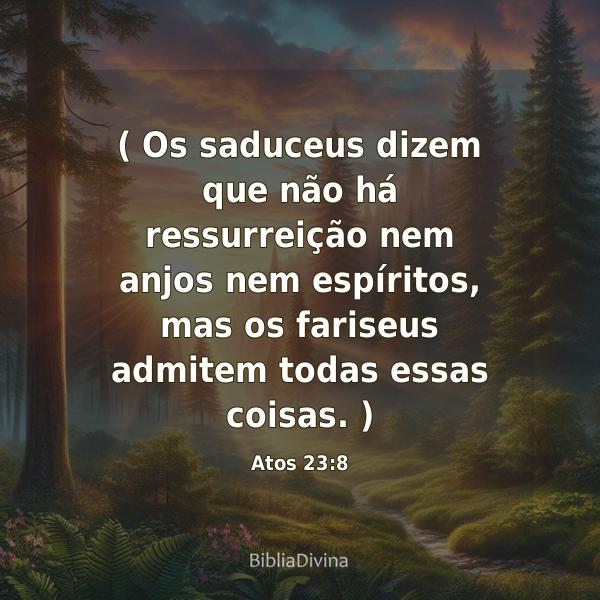 Atos 23:8