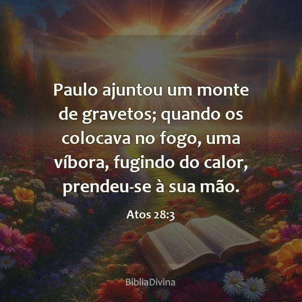 Atos 28:3