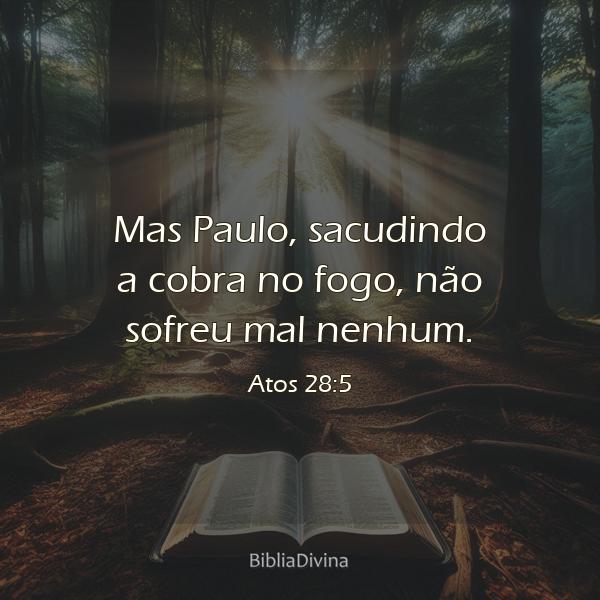 Atos 28:5