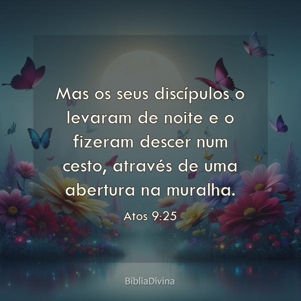 Atos 9:25