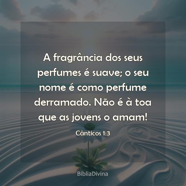 Cânticos 1:3