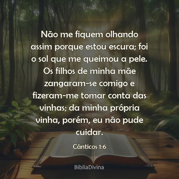 Cânticos 1:6