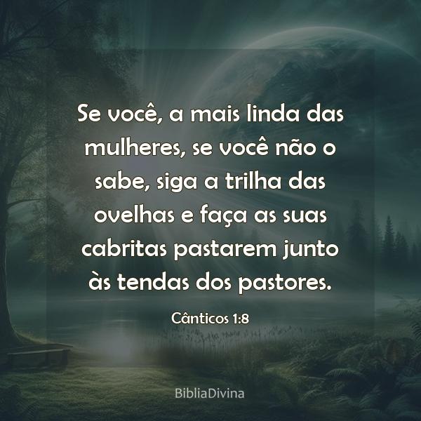 Cânticos 1:8