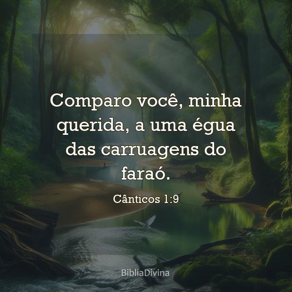 Cânticos 1:9