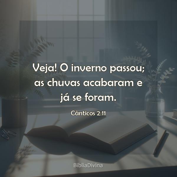 Cânticos 2:11