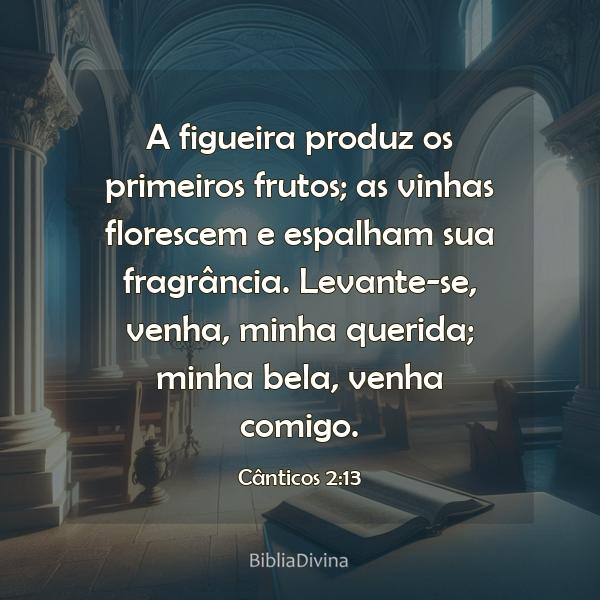 Cânticos 2:13