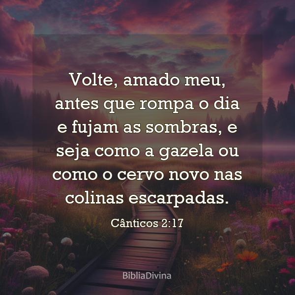 Cânticos 2:17