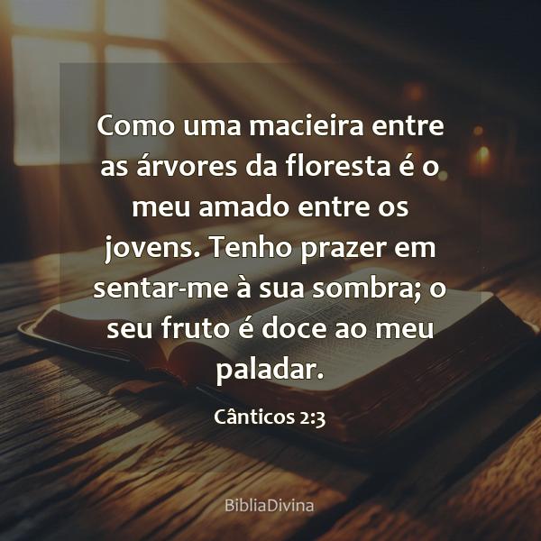 Cânticos 2:3