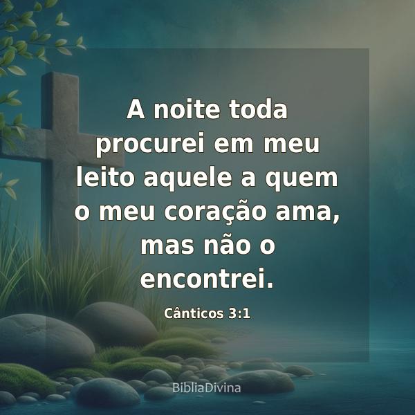 Cânticos 3:1