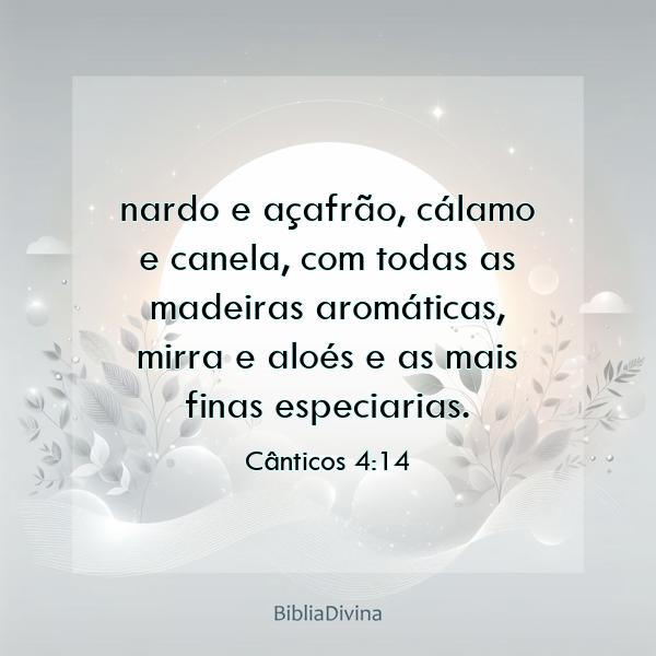 Cânticos 4:14