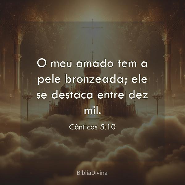 Cânticos 5:10