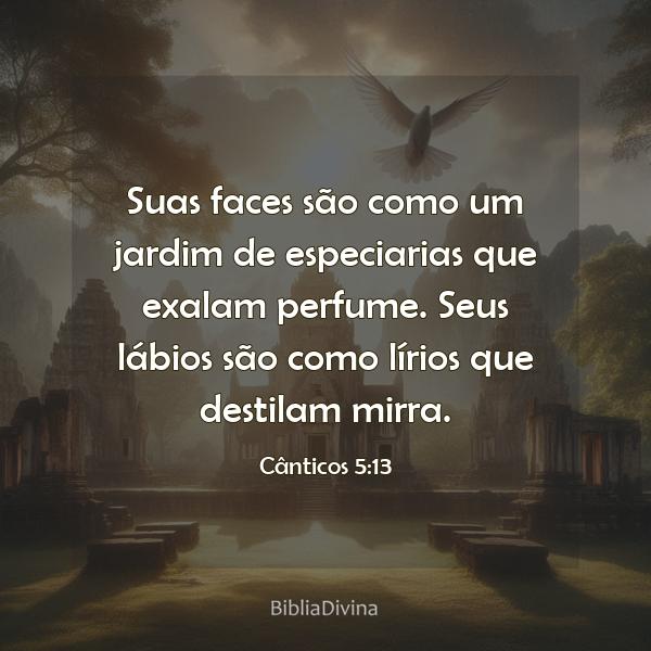 Cânticos 5:13