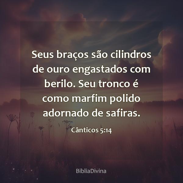 Cânticos 5:14