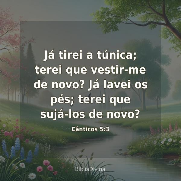 Cânticos 5:3