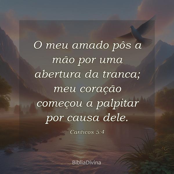 Cânticos 5:4