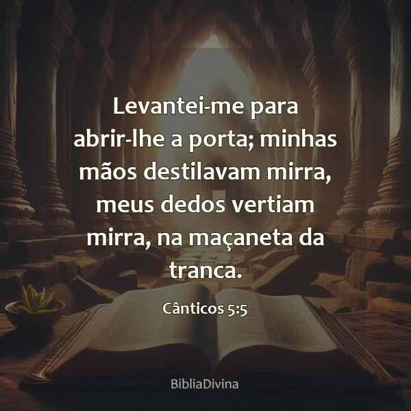 Cânticos 5:5