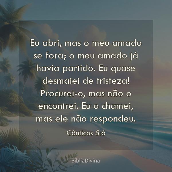 Cânticos 5:6