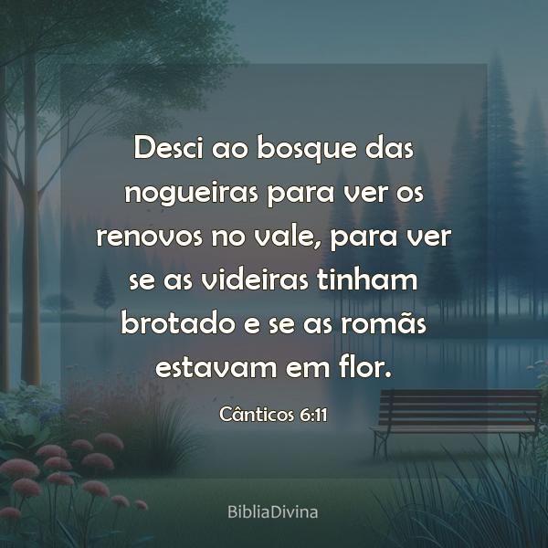 Cânticos 6:11